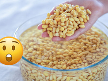 Por que preciso deixar o feijão de molho? Há outro motivo importante para essa prática e não tem a ver com digestão ou gases