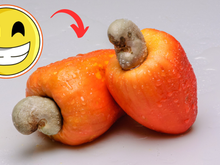 Esse benefício secreto do caju (que poucos sabem!) é muito bom pra saúde