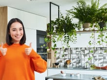 7 plantas de interior que quase ninguém lembra e renovam a energia da cozinha: são elegantes e decorativas