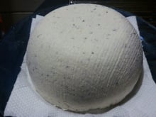 Queijo de kefir