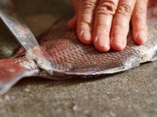 As escamas caem sozinhas: o truque para limpar qualquer peixe em segundos, sem esforço