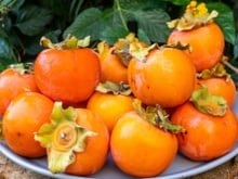 Benefício secreto do caqui (que poucos sabem!) é muito bom para a saúde!