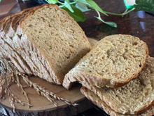 Pão de forma caseiro com farinha de aveia: receita é fácil de fazer, econômica e livre de glúten