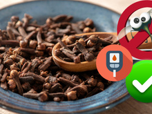 Cravo-da-Índia suga açúcar do sangue, é um repelente natural e muito mais: descubra os benefícios (pouca gente sabe!) da especiaria