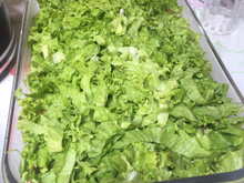 Salada especial