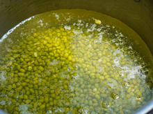 Nem grão-de-bico, nem ervilha: tipo de feijão pouco conhecido é um verdadeiro bálsamo para o coração, intestino e ossos