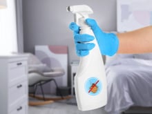 Você só precisa borrifar uma vez esse ingrediente de cozinha para se livrar de percevejos