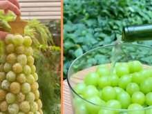 Delícia de Natal: árvore de uva verde alcóolica é o aperitivo fácil de fazer que vai encantar todo mundo