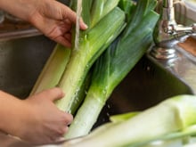 O alho-poró é uma das verduras mais difíceis de higienizar, mas o TudoGostoso te ensina o passo a passo para não errar!
