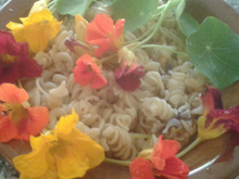 Macarrão com capuchinha