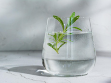 Regula o açúcar no sangue, melhora o humor e a digestão: como preparar a água caseira de alecrim