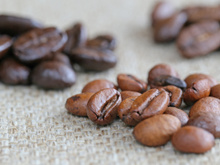 Tipos de grão de café: conheça as diferenças entre arábica e robusta