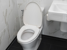 Eu duvido você dar descarga com a tampa do vaso sanitário aberta de novo depois que souber disso aqui