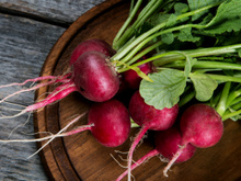 Receitas com rabanete: 20 opções fáceis e deliciosas