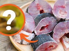 Esse animal que muita gente tem medo pode ser a comida do futuro, segundo cientistas