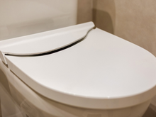 Por que você deve jogar gelo no vaso sanitário uma vez por semana: o truque que os encanadores não contam!