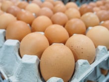 Ovos: confira os mitos e verdades