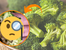 Não sei como não morri! Os 5 sinais que o brócolis estragou e você não sabia!