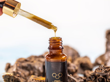 Nem marrom, nem sem álcool: aprenda como escolher o própolis certo diante de tantas variedades