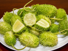 Vegetal esquecido pelos brasileiros ajuda no tratamento de 3 doenças