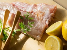 Esqueça a tilápia e a sardinha: TudoGostoso revela o peixe barato que fica suculento frito, assado ou ao molho
