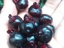 Geleia de grumixama