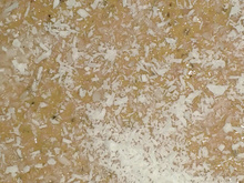 Mousse de abóbora