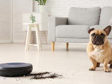 Cansou de perder tempo varrendo e limpando a casa? Tenha um robô aspirador para facilitar sua vida em 2025