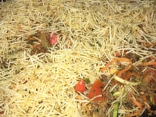 Carne primavera