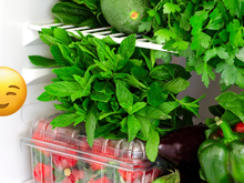 Se sua mãe não te ensinou, eu te ensino: é isso que você deve fazer para manter as ervas frescas por mais tempo na geladeira