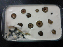 Pavê de figo