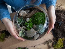 Deixe sua casa muito mais linda com esse mini jardim no vidro, é fácil de fazer e muito barato!