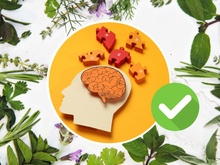 9 ervas e como cada uma delas turbina a memória e o cérebro: veja também como incluir na alimentação do dia a dia