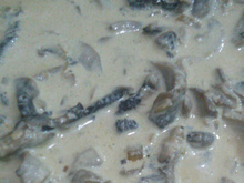 Molho de champignon fresco