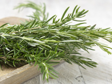 Disse adeus ao alecrim murcho depois que aprendi os 3 melhores truques para cultivar a planta em casa com uma experiente jardineira