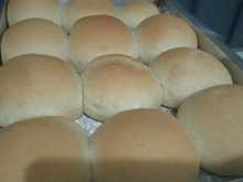 Pãozinho fácil fofinho do Cris