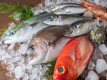 Truque do leite deixa o peixe congelado com sabor de fresco