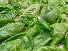 O truque da minha tia que funciona de verdade para as folhas de manjericão durarem mais tempo na geladeira