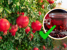 Não é só o chá de limão com hortelã que faz milagres: o chá de romã também ajuda na produção de ferro e outros benefícios