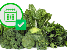 Os benefícios das verduras verde-escuras: descubra por que você comer um desses alimentos todos os dias