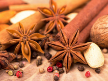 Poucos tem em casa, mas essa planta medicinal é a queridinha da saúde natural por um bom motivo!