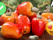 A maioria não sabe, mas o caju é uma fruta com benefícios surpreendentes!