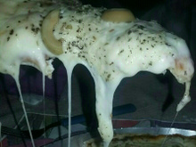 Massa para pizza de 3 ingredientes