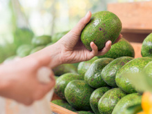 Dicas para escolher abacates recém-maduros no supermercado: basta seguir estes 3 passos fáceis