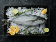 Estes são os peixes com os níveis mais altos de mercúrio e você não deve comer regularmente, aponta associação espanhola que defende os consumidores