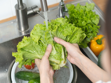 A alface permanece fresca por várias semanas e não escurece se for guardada junto com um utensílio doméstico