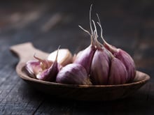 Como escolher, armazenar e conservar alho: veja as dicas