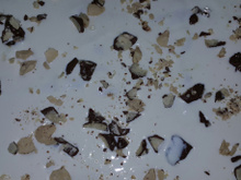 Pavê de biscoito maizena