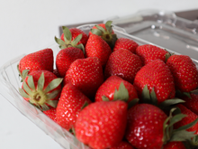 Mantenha os morangos maduros e frescos por semanas com esse truque simples de armazenamento