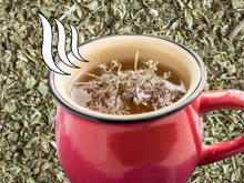 Orégano além do tempero: benefícios do chá com a especiaria à noite são vários